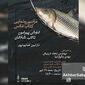 رونمایی از کتاب عکس «سایه‌های شادگان»؛ روایت تالابی در آستانه تغییر