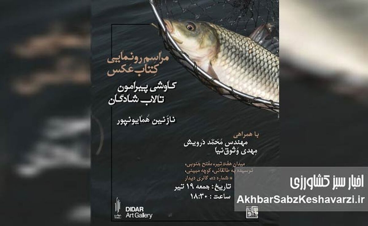رونمایی از کتاب عکس «سایه‌های شادگان»؛ روایت تالابی در آستانه تغییر