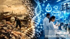 از زباله‌دانی ساحل تا آزمایشگاه‌های لوکس؛ آیا ایران «طلای کثیف» شیلات را دور می‌ریزد؟