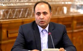 صنعت طیور ایران کاملاً خصوصی است

