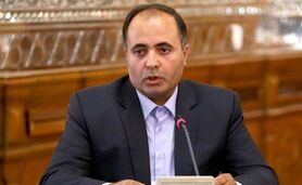 صنعت طیور ایران کاملاً خصوصی است

