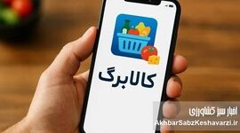 واریز یک میلیون تومان قطعی شد؛ چه کسانی همین امروز مشمول می‌شوند؟

