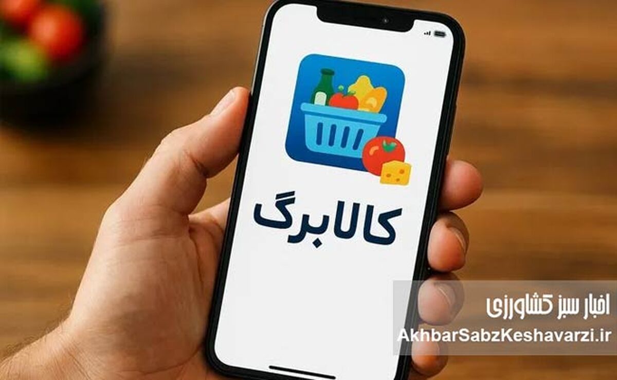 واریز یک میلیون تومان قطعی شد؛ چه کسانی همین امروز مشمول می‌شوند؟

