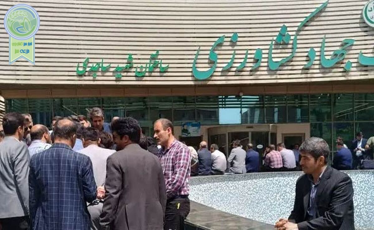 تجمع اعتراضی شماری از کارکنان وزارت جهاد کشاورزی به تبعیض‌ حقوقی