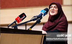 هشدار سخنگوی دولت درباره کشت برنج در ۱۷ استان؛ عقل و علم چه می‌گویند؟+ ویدئو