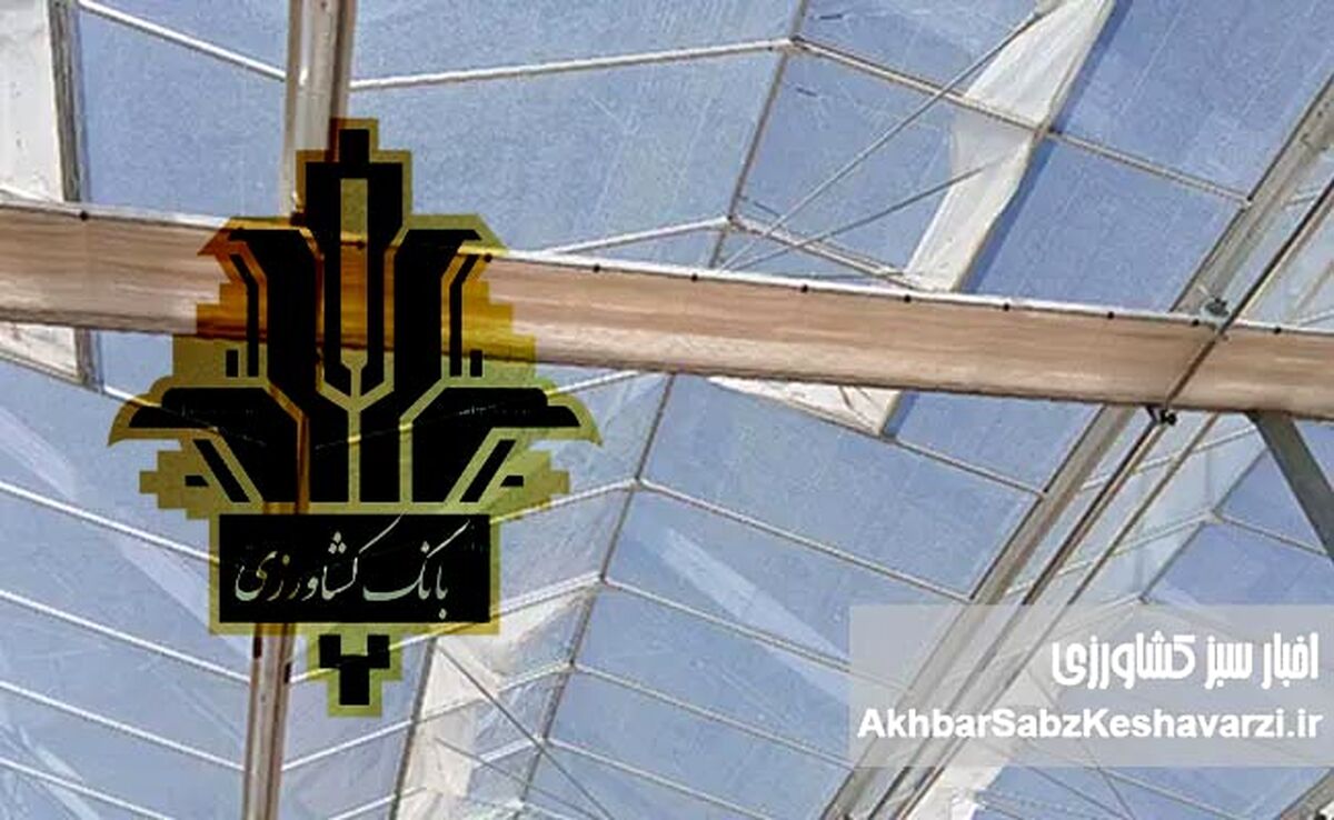 بانک کشاورزی؛ تکیه‌گاه گلخانه‌داران در مسیر امنیت غذایی