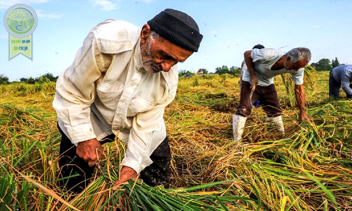 امهال تسهیلات کشاورزان خسارت دیده ابلاغ شد