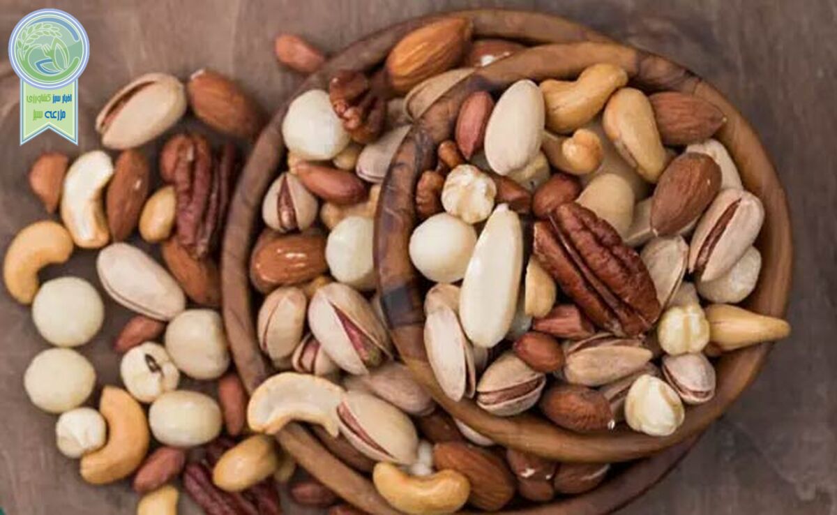 بهترین آجیل برای درمان کم خونی کدام است؟


