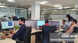بازار کار پس از جنگ زیر فشار اشتغال بی‌کیفیت و مهاجرت نیروها

