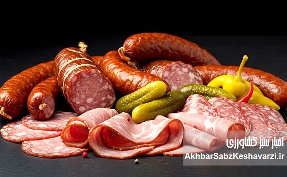 پروتئین ارزان‌قیمت: راهنمای کامل نجات سبد خرید در دوران گرانی و حفظ سلامتی+جدول
