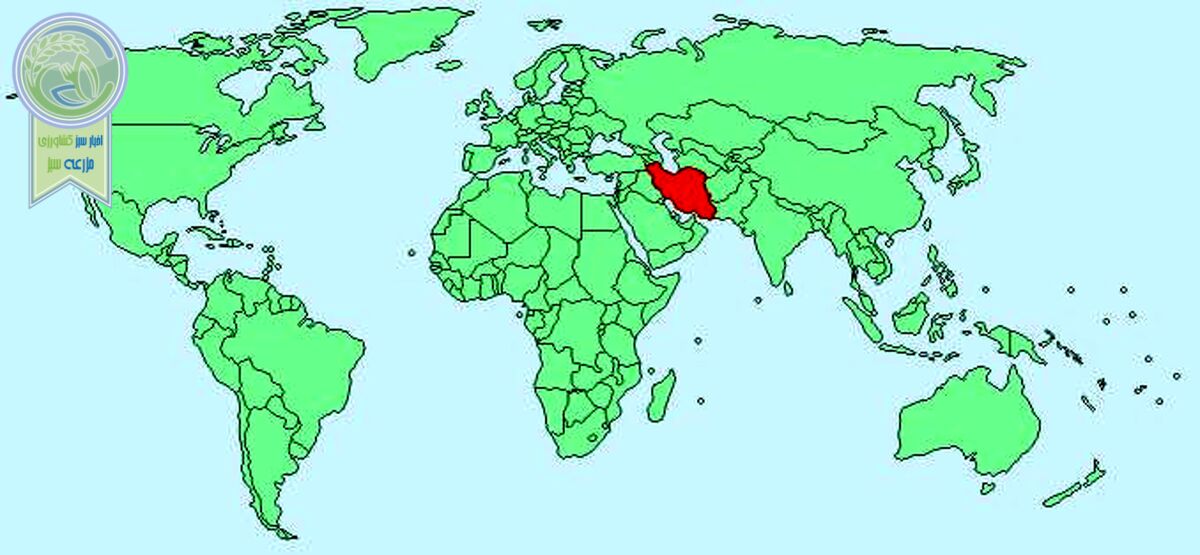 تجارت با دنیا فقط ۳ روز در هفته!/ شوک مجلس به بخش خصوصی


