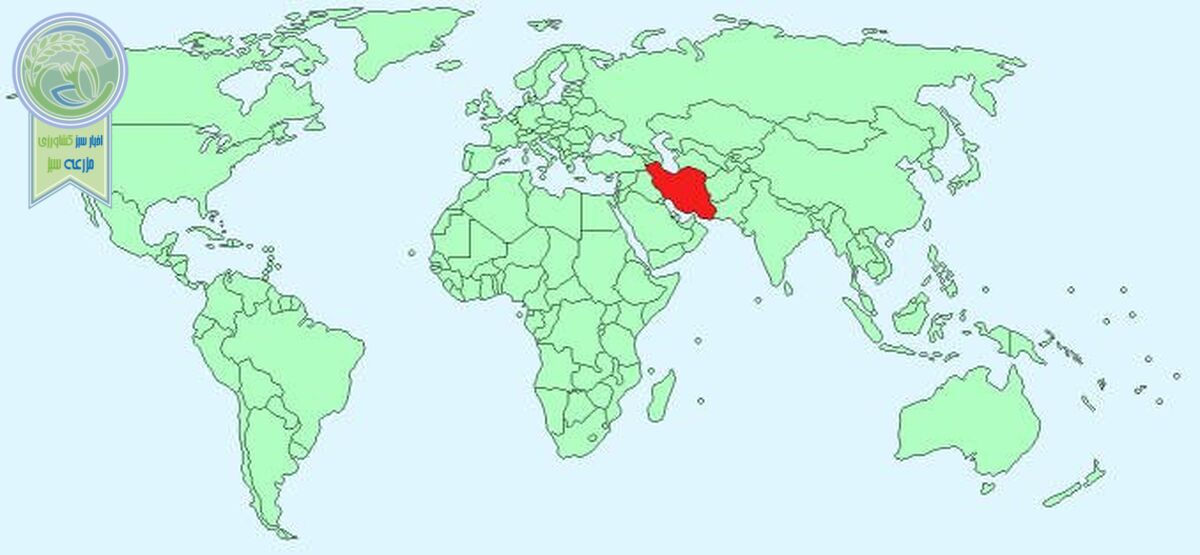 تجارت با دنیا فقط ۳ روز در هفته!/ شوک مجلس به بخش خصوصی


