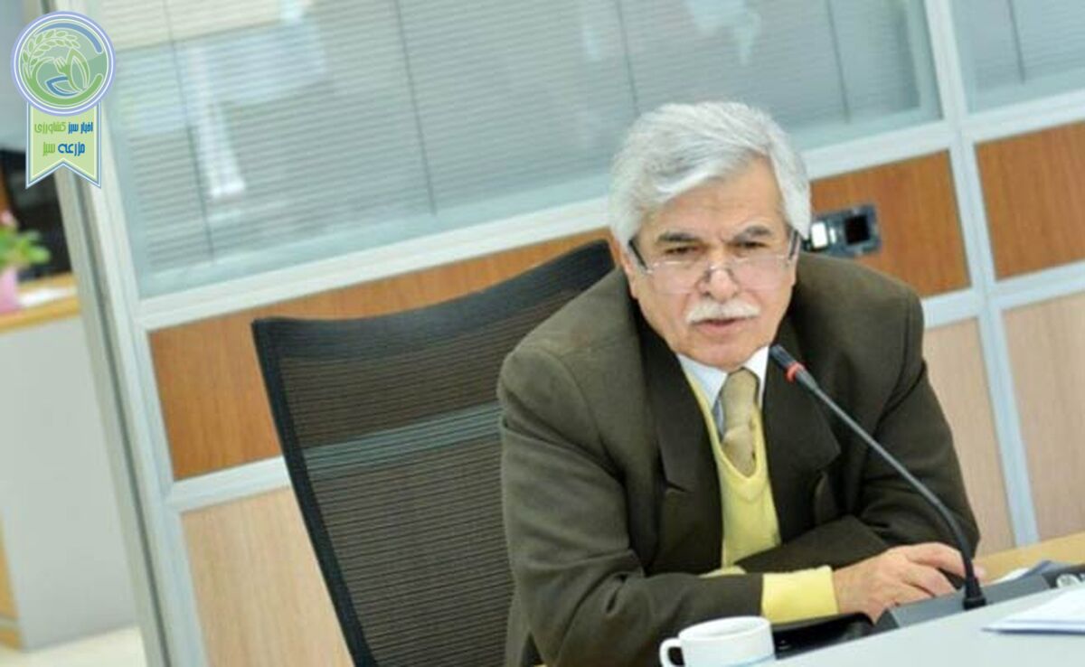 شروع رقابت جلیلی و پزشکیان 