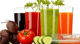 راز نگران‌کننده نوشیدنی‌های رژیمی و افزایش اشتهای پنهان/ هشدار تازه پژوهشگران