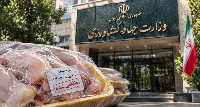 مرغ تاریخ‌مصرف‌گذشته؛ وقتی سلامت مردم قربانی ضعف نظارت می‌شود