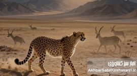 ​فراتر از یک تقویم؛ نجوای بقا در فلات ایران

