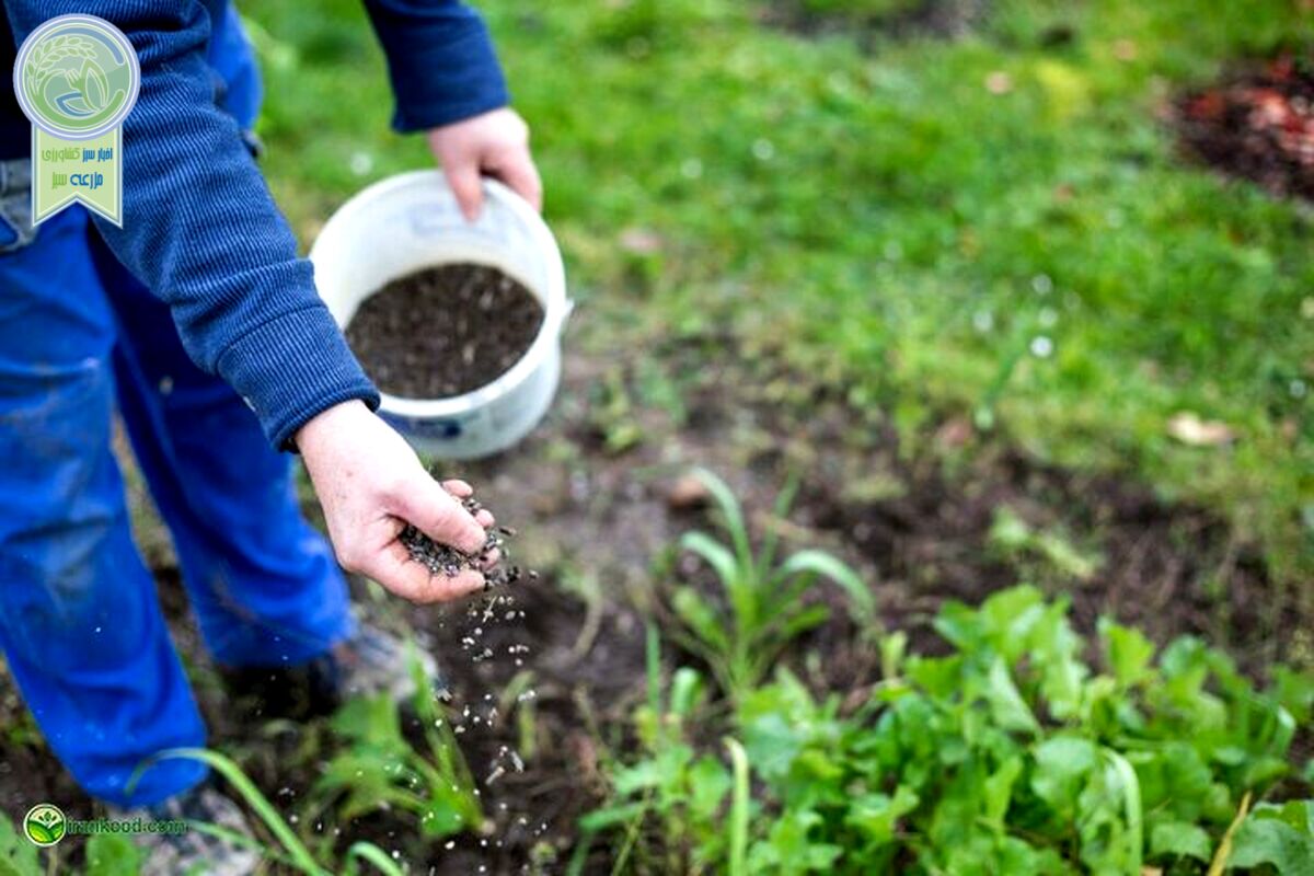 هیچ افزایش قیمتی برای انواع کود نداریم

