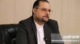 رخساره های متکثر اصلاحات ارضی در سپیده دم مدرنیزاسیون ایرانی