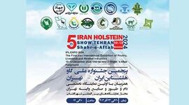  نخستین نمایشگاه تخصصی دام و طیور و جشنواره گاو هلشتاین آغاز به کار کرد


