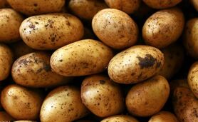 دم خروس یا قسم حضرت عباس 