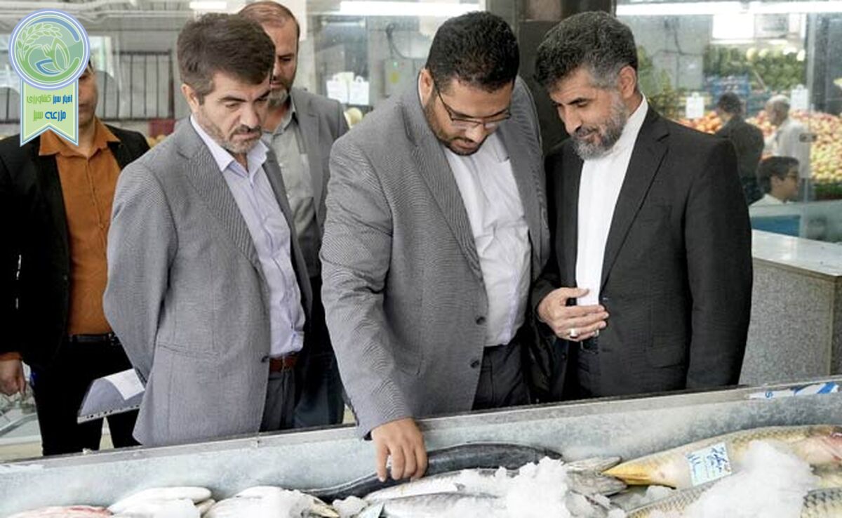 مهمترین ماموریت سازمان میادین ارتقای کیفیت خدمات‌رسانی است


