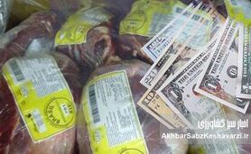 ارز حرام شده برای واردات گوشت را به تولید کننده بدهید+ویدئو