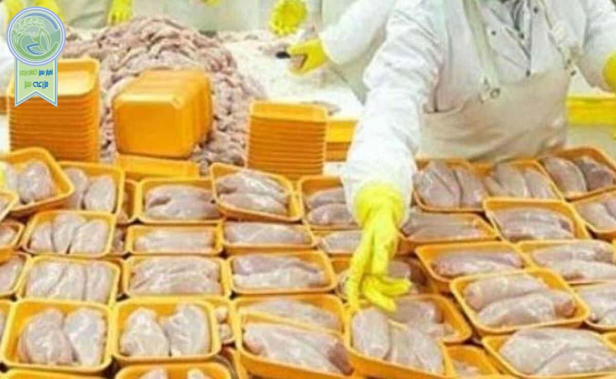 صادرات 20 هزار تن مرغ با هدف کمک به تنظیم بازار

