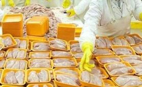 صادرات 20 هزار تن مرغ با هدف کمک به تنظیم بازار

