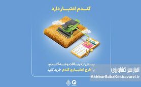 گندم اعتبار دارد؛ طرح گرین‌پی ویژه گندم‌کاران