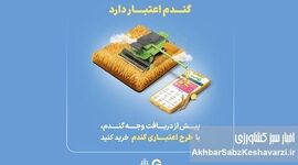 گندم اعتبار دارد؛ طرح گرین‌پی ویژه گندم‌کاران