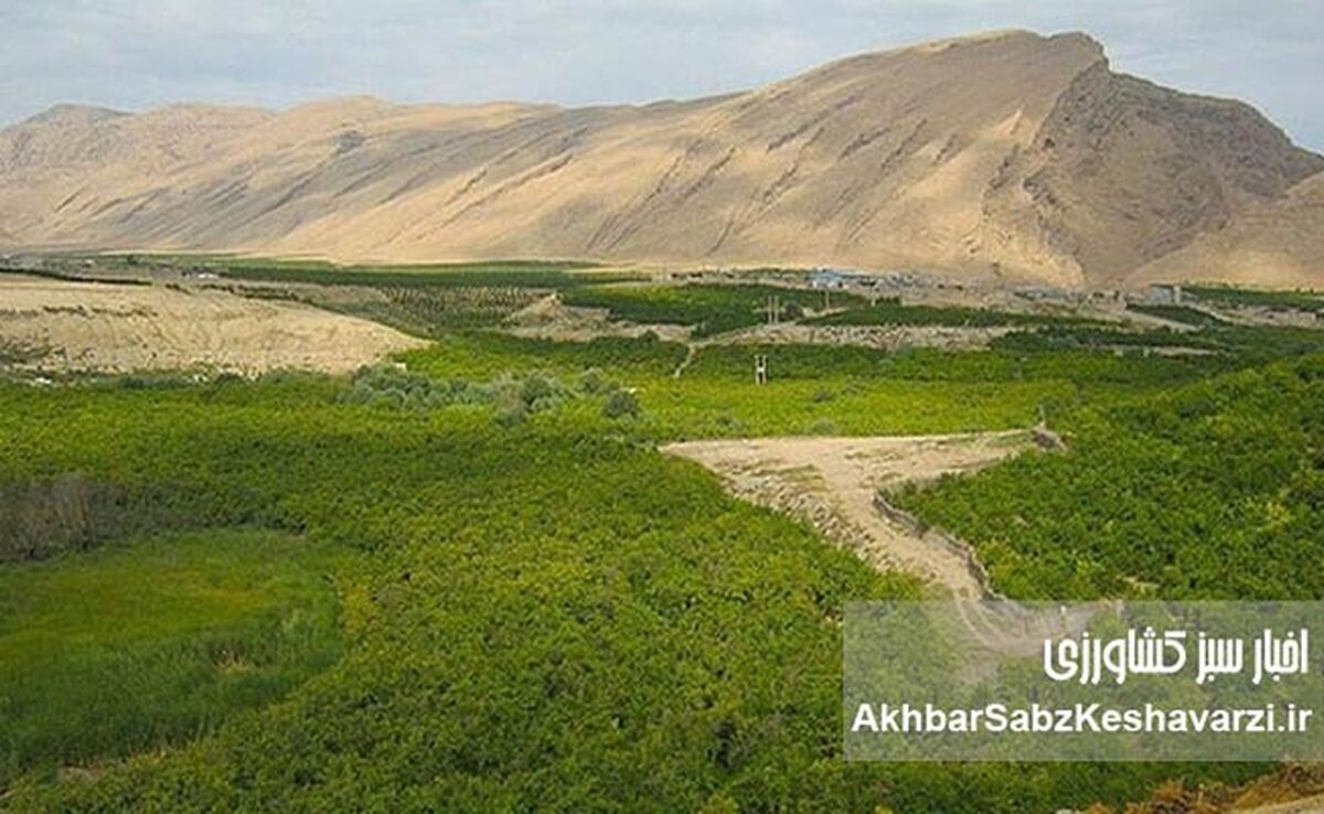 «زمین‌های دماوند و شمیرانات»: حراج بیت‌المال یا اشتباه قضایی؟