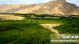 «زمین‌های دماوند و شمیرانات»: حراج بیت‌المال یا اشتباه قضایی؟