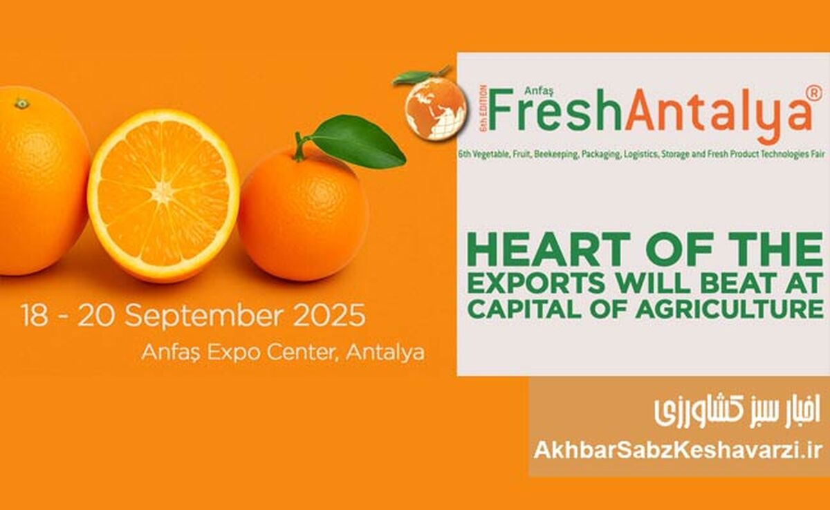 تجربه صادراتی بی‌نظیر در نمایشگاه Fresh Antalya+ جزئیات