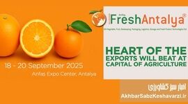 تجربه صادراتی بی‌نظیر در نمایشگاه Fresh Antalya+ جزئیات