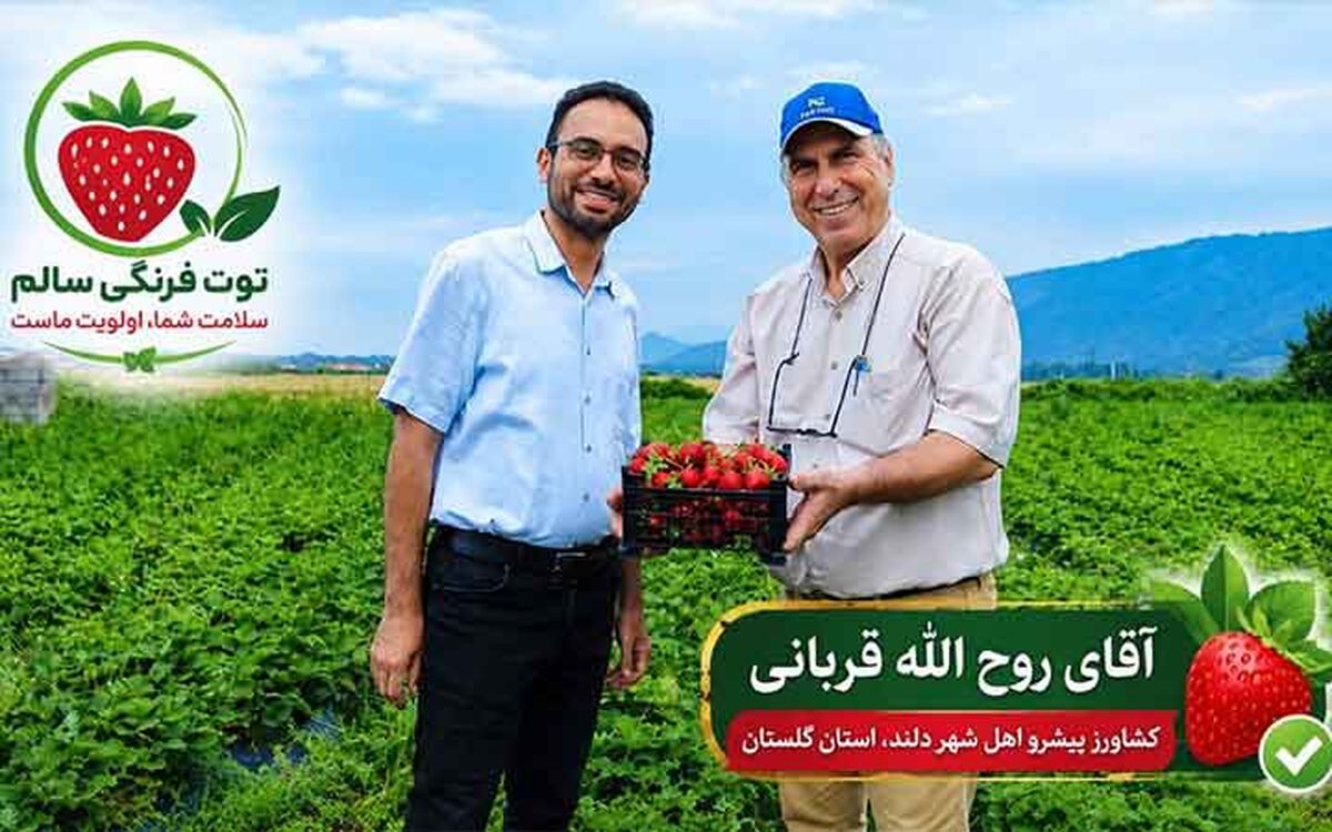 معجزه توت‌فرنگی در دلند؛ وقتی دانش جای سموم را می‌گیرد

