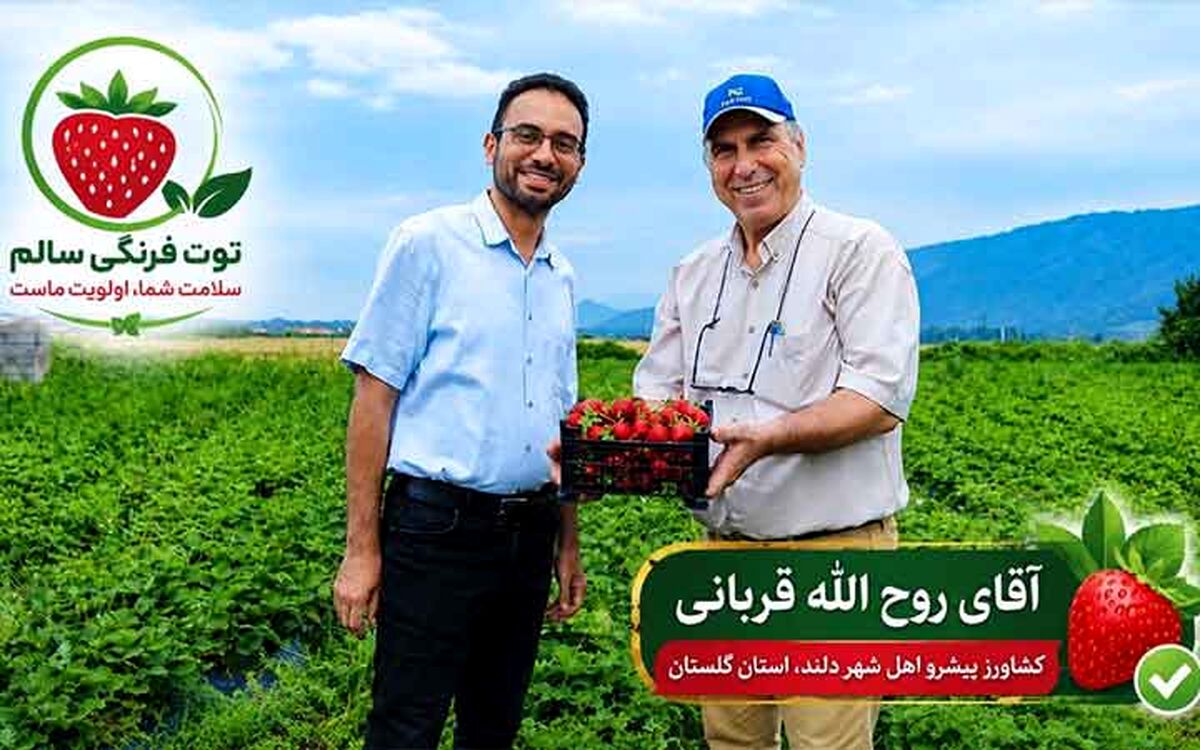 معجزه توت‌فرنگی در دلند؛ وقتی دانش جای سموم را می‌گیرد

