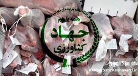 ۴ میلیون یورو پرکشید؛ رسوایی هدررفت ارز ترجیحی و مطالبه پاسخگویی