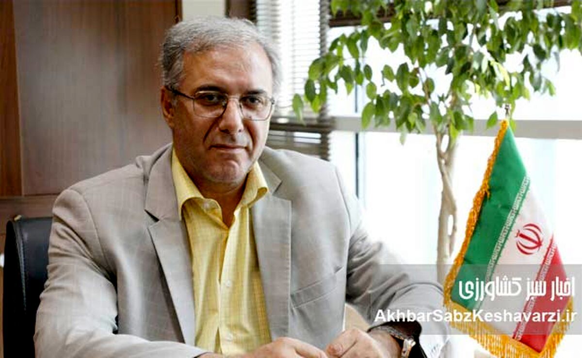 توانمندسازی روانی و سازمانی کارکنان در دوران گذار پس از بحران: رویکردی برای حفظ انگیزه و خلق فرصت