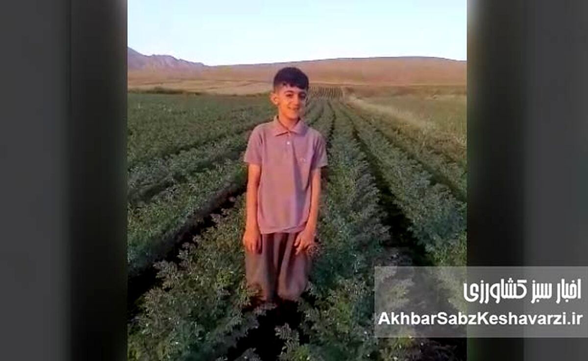 ایمان پرتوی؛ روایت یک درس بزرگ از کشاورزی حفاظتی در روستای مرادآباد+ویدئو