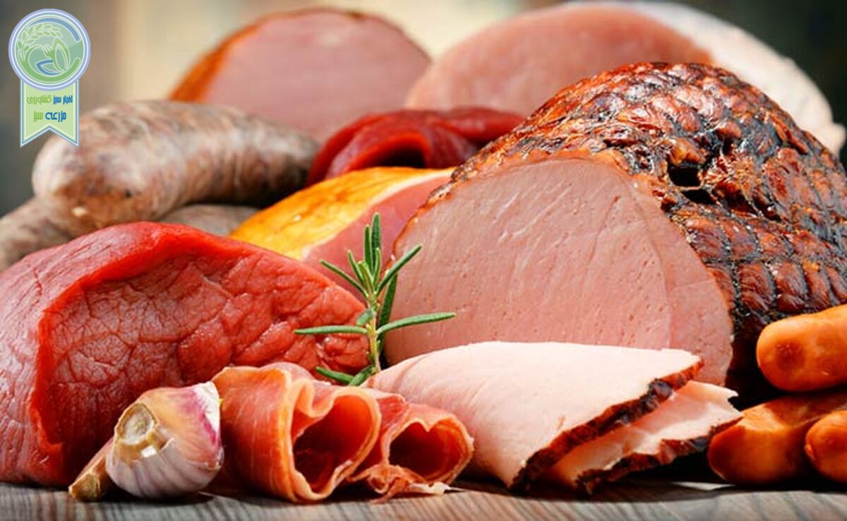 تغییر الگوی مصرف گوشت مطلوب است یا نامطلوب؟

