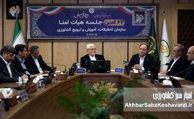 رتبه‌های جهانی کافی نیست؛ کشاورزی ایران در تنگنای بهره‌وری