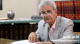 زبان ملی پارسی؛ رکن اصلی هویت ایرانی +ویدیو
