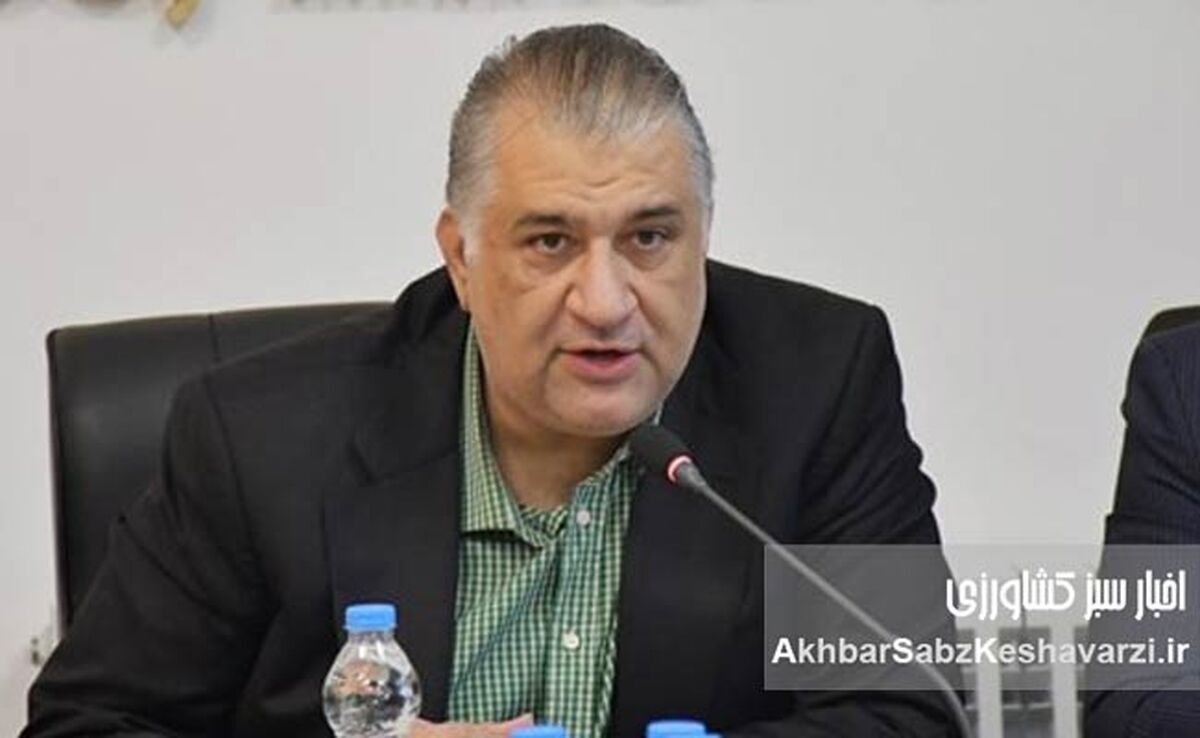 هشدار نایب‌رئیس اتاق ایران: کشاورزی قربانی ناترازی برق است؛ وزارت نیرو پاسخگو باشد