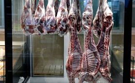 ۷۰۰ میلیون دلار واردات گوشت طی ۶ ماه

