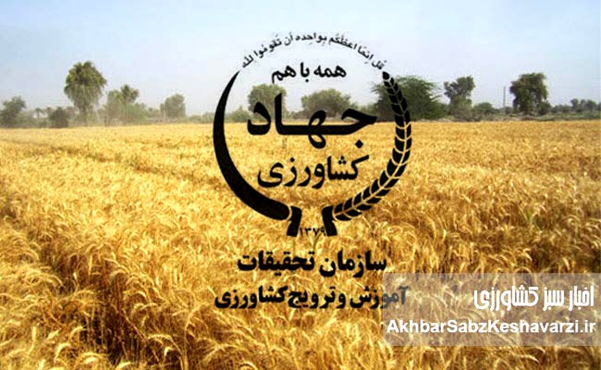 تحقیقات میلیاردی، ترویج صفر! زمان بازطراحی تات فرا رسیده است؟+ویدئو