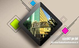 بانک کشاورزی؛ شریان حیاتی توسعه پایدار و ارتقای معیشت در دل روستاها
