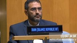 ناصر اسدی کیست؟ از خیابان سئول تا ساختمان سازمان ملل
