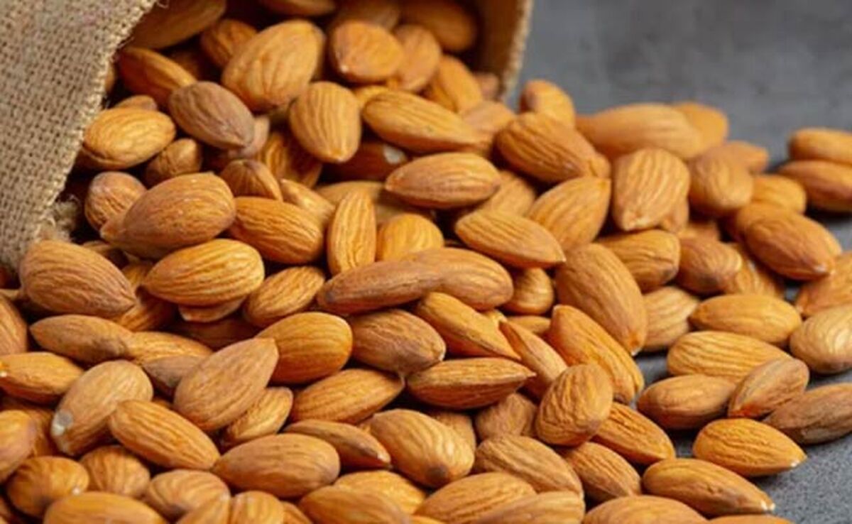 بادام؛ معجزه‌ای برای کالری‌سوزی