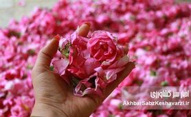 مشکلات گردشگری کاشان؛ شهر گلاب، گل دارد اما آب و برق و رمق گردشگری نه!