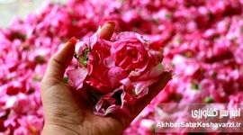 مشکلات گردشگری کاشان؛ شهر گلاب، گل دارد اما آب و برق و رمق گردشگری نه!